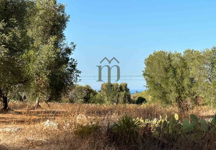 Helårsgrund i Carovigno, Brindisi, Carovigno - € 50.000 | Ref: Sierri VistaMar - foto 1